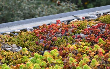 the cost of Girsby green roof installation
