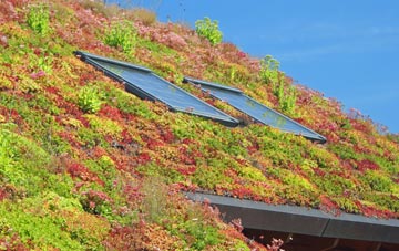 Girsby living roof systems